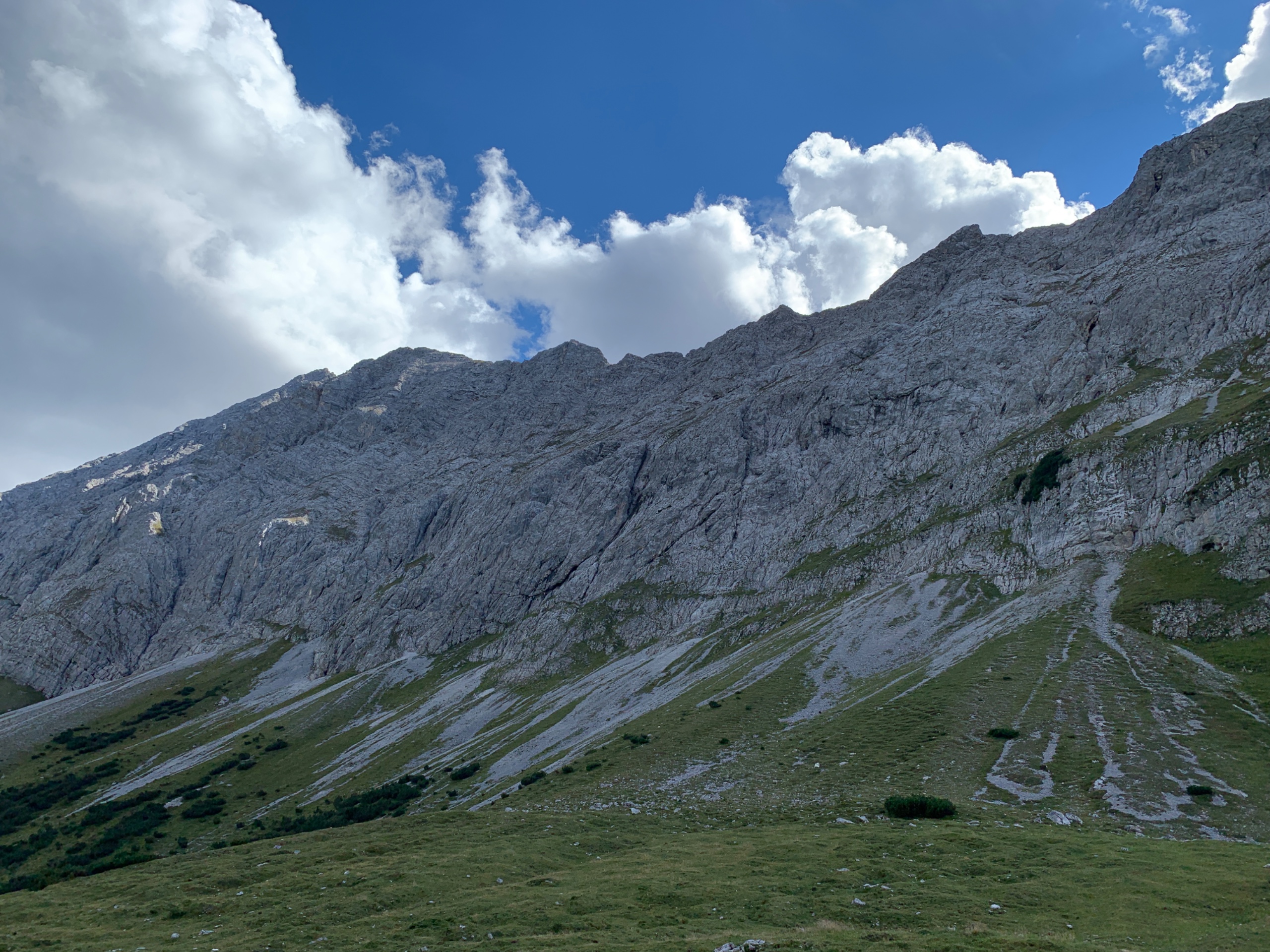 High alpine limestone slope with scree and a short vegetation period