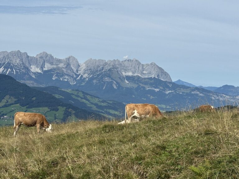 Alpine vegetation management – reconciling farming, tourism and site-typical vegetation