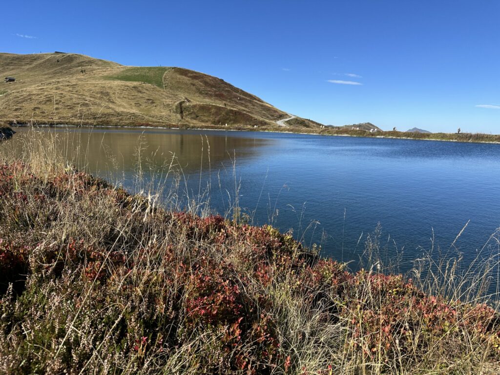 Alpine reservoir with revegetated slopes and dwarf shrub vegetation