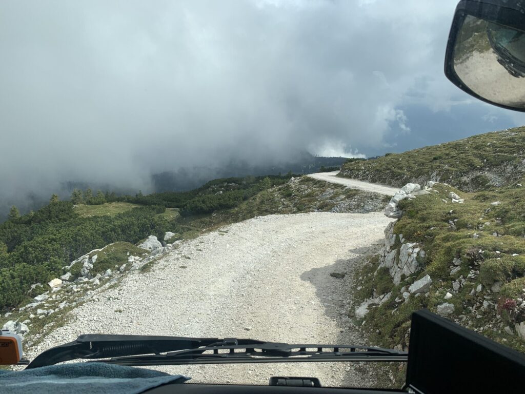 Alpine revegetation carried out by aerial seeding