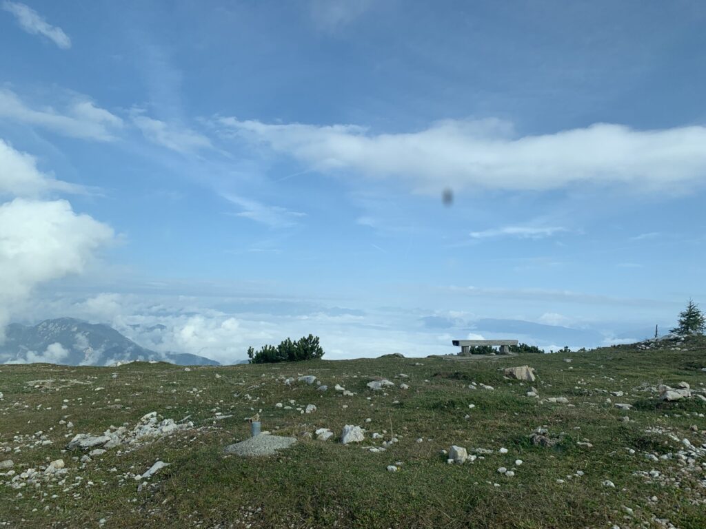 Alpine revegetation on a high-altitude site