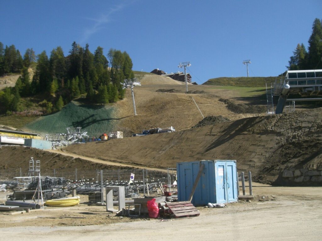 Alpine revegetation on a mountain slope