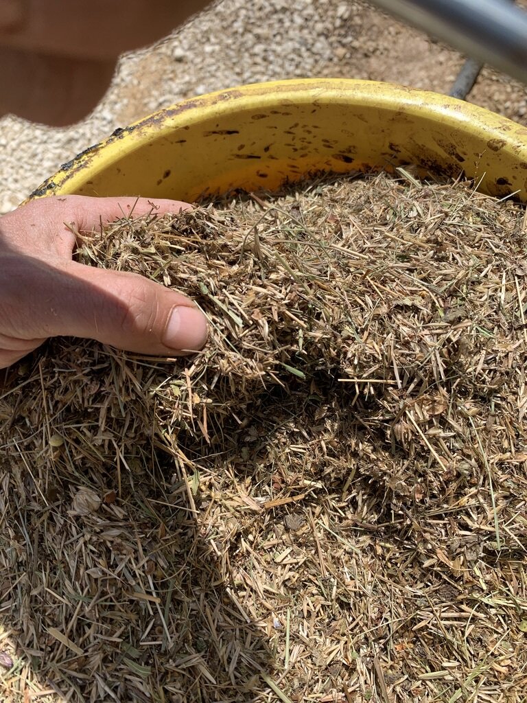 Why wood fiber is not simply wood fiber – fiber quality, water retention and the germination layer
