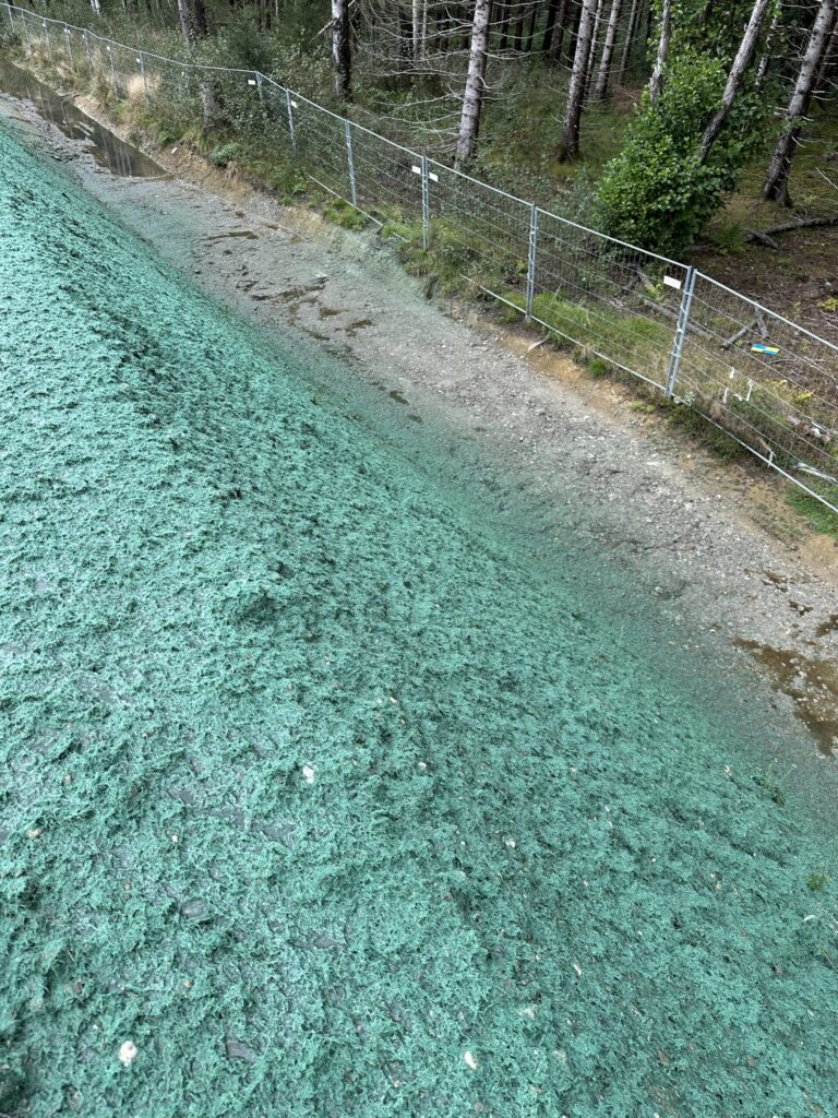 Protective mulch layer for hydraulically applied erosion control