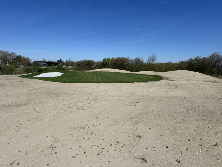 Newly established golf green surrounded by sand bunkers