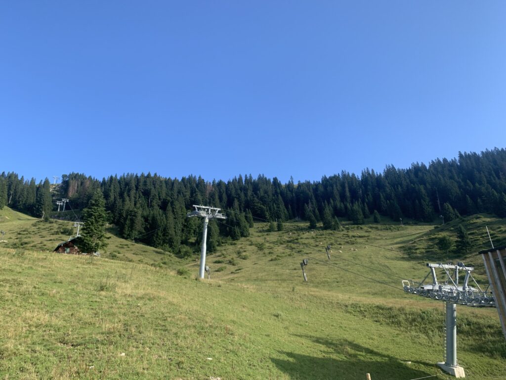 High-altitude revegetation carried out by hydroseeding
