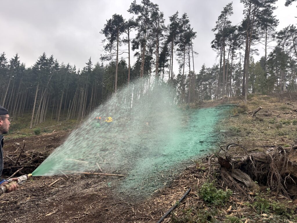 Hydroseeding a cleared forest slope after windthrow