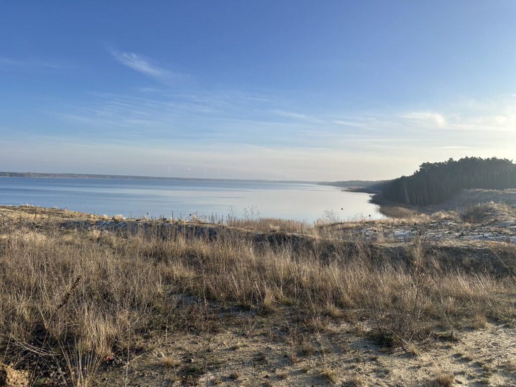 Restored post-mining lake with pioneer vegetation along the shoreline