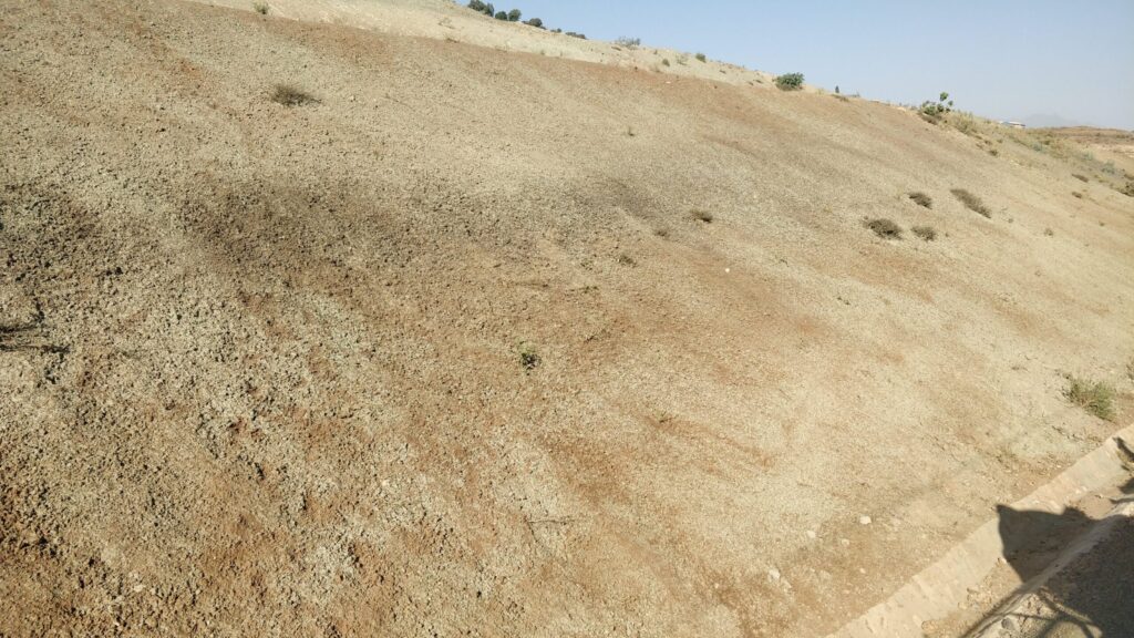 Treated arid slope with sparse vegetation in a dry climate