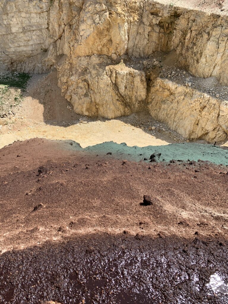Pedogenesis on a construction project – soil development as a planning basis